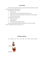 Verslo planas: moliniai dirbiniai UAB "Molinukas" 5 puslapis