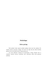 Verslo planas: moliniai dirbiniai UAB "Molinukas" 7 puslapis