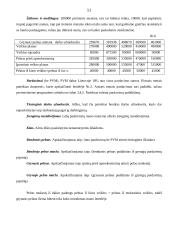 Verslo planas: poilsio namai "Beržaragis" 11 puslapis