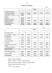 Verslo planas: poilsio namai "Beržaragis" 12 puslapis