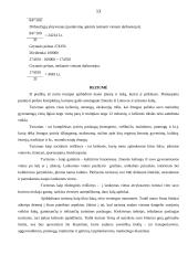 Verslo planas: poilsio namai "Beržaragis" 13 puslapis