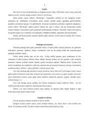 Verslo planas: poilsio namai "Beržaragis" 3 puslapis