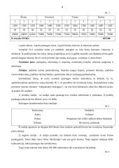 Verslo planas: poilsio namai "Beržaragis" 4 puslapis