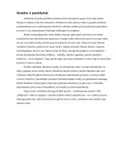 Verslo planas: poligrafijos verslas UAB "Poligrafus" 11 puslapis