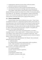 Verslo planas: poligrafijos verslas UAB "Poligrafus" 5 puslapis