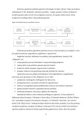 Verslo planas: poligrafijos verslas UAB "Poligrafus" 6 puslapis
