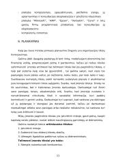 Verslo planas: prekyba kompiuteriais ir kompiuterių remontas UAB "Domenas" 12 puslapis