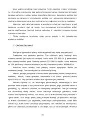 Verslo planas: prekyba kompiuteriais ir kompiuterių remontas UAB "Domenas" 16 puslapis