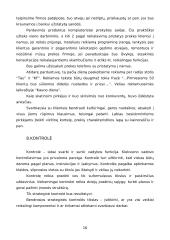 Verslo planas: prekyba kompiuteriais ir kompiuterių remontas UAB "Domenas" 17 puslapis