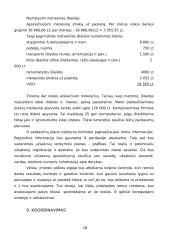 Verslo planas: prekyba kompiuteriais ir kompiuterių remontas UAB "Domenas" 19 puslapis