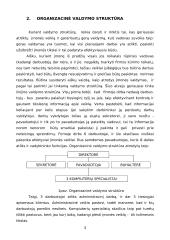 Verslo planas: prekyba kompiuteriais ir kompiuterių remontas UAB "Domenas" 4 puslapis