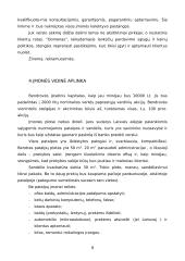 Verslo planas: prekyba kompiuteriais ir kompiuterių remontas UAB "Domenas" 10 puslapis