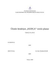 Verslo planas: remonto ir apdailos darbai ŪB "Kedga"