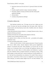 Verslo planas: remonto ir apdailos darbai ŪB "Kedga" 13 puslapis