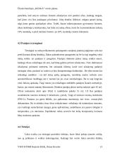 Verslo planas: remonto ir apdailos darbai ŪB "Kedga" 15 puslapis