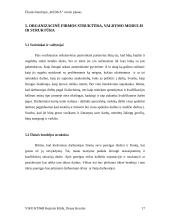 Verslo planas: remonto ir apdailos darbai ŪB "Kedga" 17 puslapis