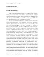 Verslo planas: remonto ir apdailos darbai ŪB "Kedga" 19 puslapis