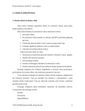 Verslo planas: remonto ir apdailos darbai ŪB "Kedga" 6 puslapis