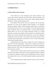 Verslo planas: remonto ir apdailos darbai ŪB "Kedga" 8 puslapis