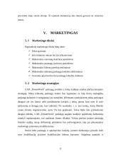 Verslo planas: švenčių organizavimo įmonė "DreamWork" 11 puslapis