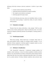 Verslo planas: švenčių organizavimo įmonė "DreamWork" 12 puslapis