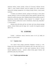 Verslo planas: švenčių organizavimo įmonė "DreamWork" 13 puslapis