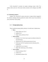 Verslo planas: švenčių organizavimo įmonė "DreamWork" 14 puslapis