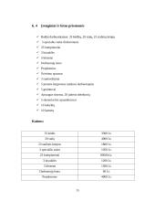 Verslo planas: švenčių organizavimo įmonė "DreamWork" 15 puslapis