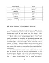 Verslo planas: švenčių organizavimo įmonė "DreamWork" 16 puslapis