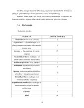 Verslo planas: švenčių organizavimo įmonė "DreamWork" 18 puslapis