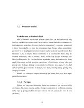 Verslo planas: švenčių organizavimo įmonė "DreamWork" 19 puslapis