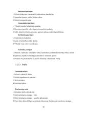 Verslo planas: švenčių organizavimo įmonė "DreamWork" 20 puslapis