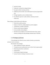 Verslo planas: švenčių organizavimo įmonė "DreamWork" 7 puslapis