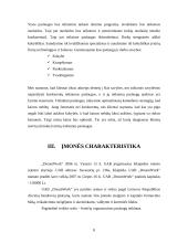 Verslo planas: švenčių organizavimo įmonė "DreamWork" 8 puslapis