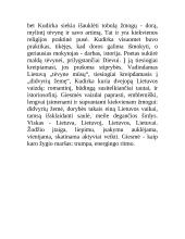 Vincas Kudirka 10 puslapis