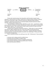 Verslo planas: viešbutis ir poilsinių namų kompleksas UAB "Atostogana" 12 puslapis