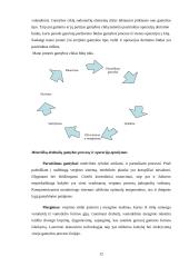 Verslo planas: viršutinių moteriškų drabužių siuvimo verslas 11 puslapis