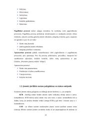 Verslo planas: viršutinių moteriškų drabužių siuvimo verslas 13 puslapis