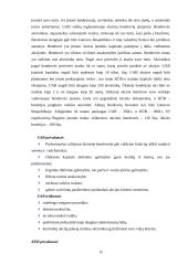 Verslo planas: viršutinių moteriškų drabužių siuvimo verslas 14 puslapis