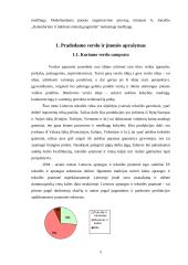 Verslo planas: viršutinių moteriškų drabužių siuvimo verslas 4 puslapis