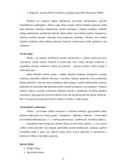 Verslo planas: viršutinių moteriškų drabužių siuvimo verslas 5 puslapis