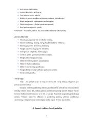 Verslo planas: viršutinių moteriškų drabužių siuvimo verslas 6 puslapis