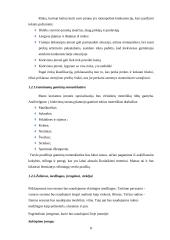 Verslo planas: viršutinių moteriškų drabužių siuvimo verslas 7 puslapis