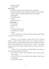 Verslo planas: viršutinių moteriškų drabužių siuvimo verslas 8 puslapis