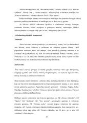 Verslo planas: viršutinių moteriškų drabužių siuvimo verslas 9 puslapis