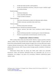 Verslo planas: želdinių projektavimas  UAB "Rojaus Sodas" 11 puslapis