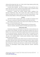 Verslo planas: želdinių projektavimas  UAB "Rojaus Sodas" 6 puslapis