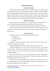 Verslo planas: želdinių projektavimas  UAB "Rojaus Sodas" 7 puslapis