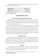 Verslo planas: želdinių projektavimas  UAB "Rojaus Sodas" 8 puslapis