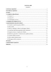 Verslo plano ekonominiai skaičiavimai 2 puslapis